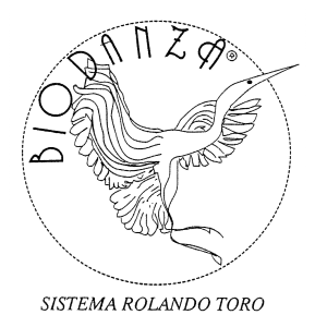 Biodanza Sistema Rolando Toro Logo